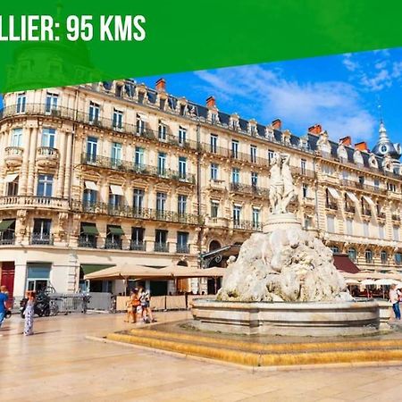 La Bulle - Parking Gratuit En Souterrain - 2 Mins Du Palais Des Papes - Clim Ac - Wifi Apartment Avignon Exterior foto